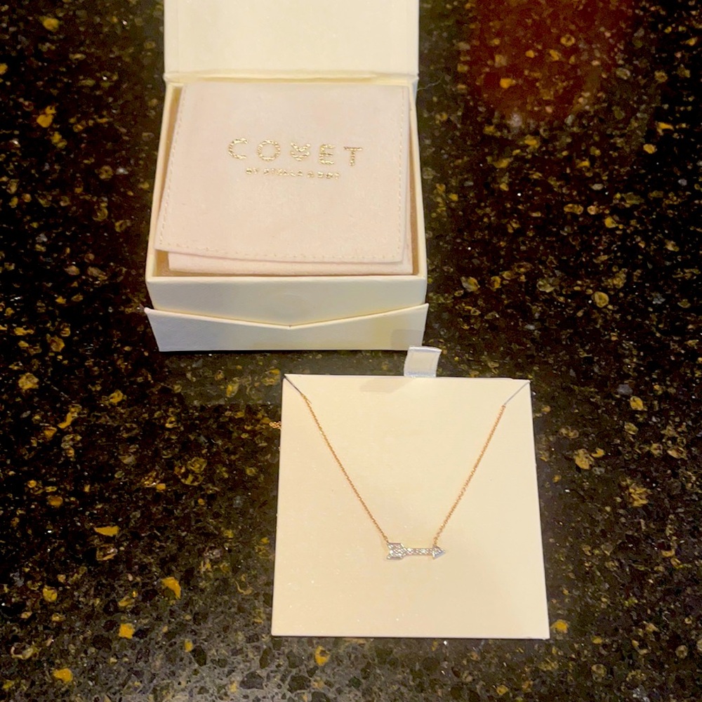 Stella and Dot Covet Adventure Necklace